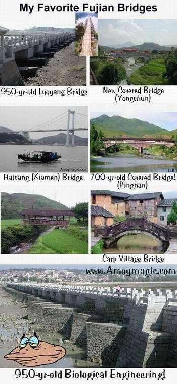 My favorite Fujian Province bridges 