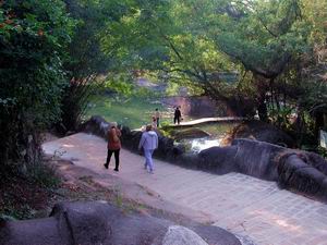 One of the many beautiful trails winding through the Xiamen Botanical Garden