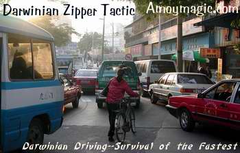 Darwinian Driving Zipper Tactic--foolproof method for cars five-abreast to merge into one lane--though sometimes the zipper gets stuck.  Amoy Magic--Guide to Xiamen and Fujian.  Http://www.amoymagic.com