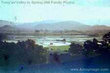 Tong'an Valley in the Spring 1949