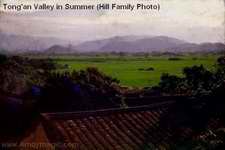 Tong'an Valley in Summer 1949