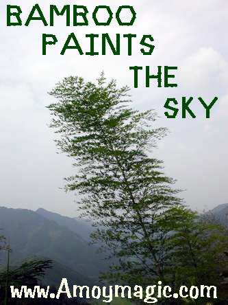 Bamboo on mountainsides looks like giant brushes painting clouds on the sky