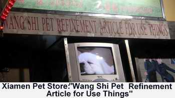 xiamen pet store wang shi pet refinement article for use things